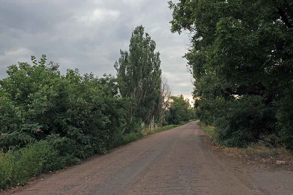 Калинове з panoramio.com - Калинове