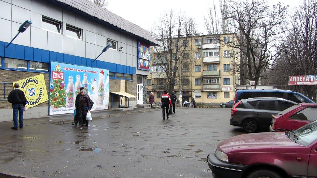 Кам'яне Поле з panoramio.com - Кам'яне Поле