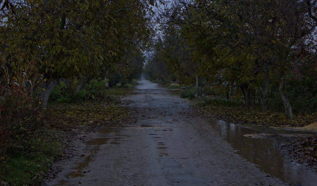 Роздольне з panoramio.com - Роздольне