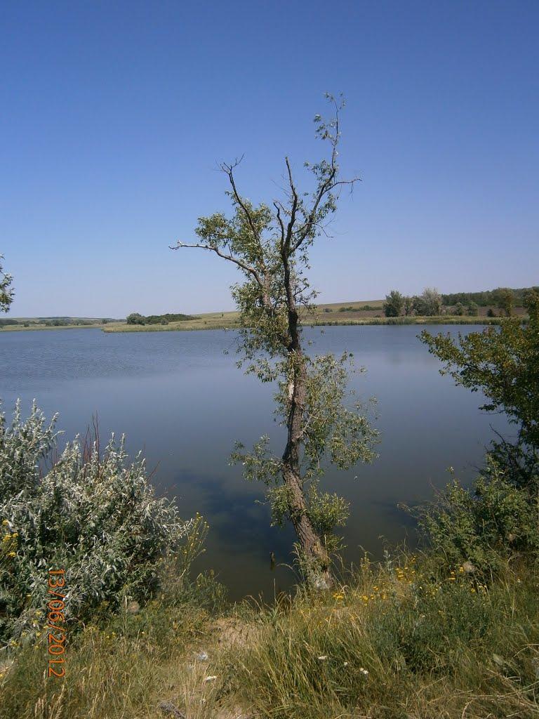 Колядівка з panoramio.com - Колядівка