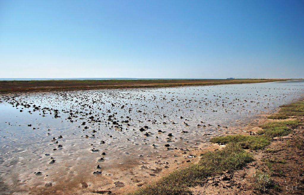 Чернігівка з panoramio.com - Чернігівка