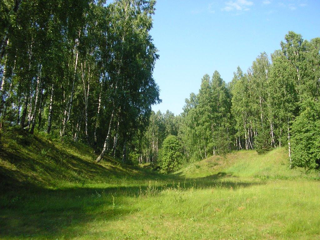 Михальчина-Слобода з panoramio.com - Михальчина-Слобода