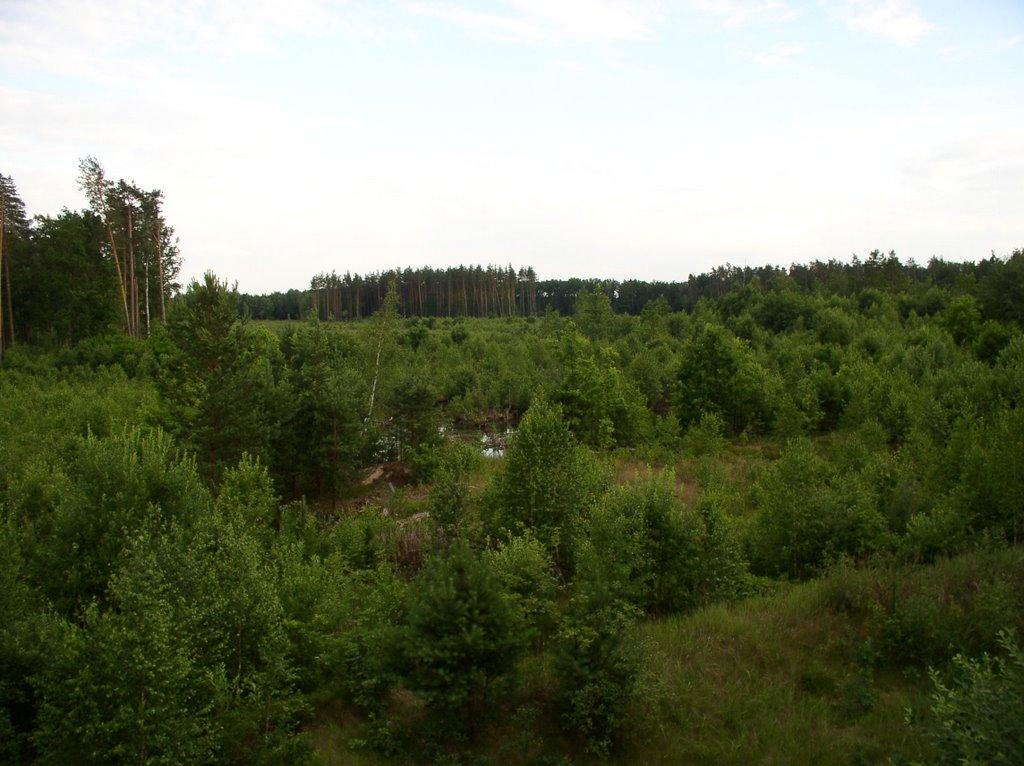 Висока Піч з panoramio.com - Висока Піч