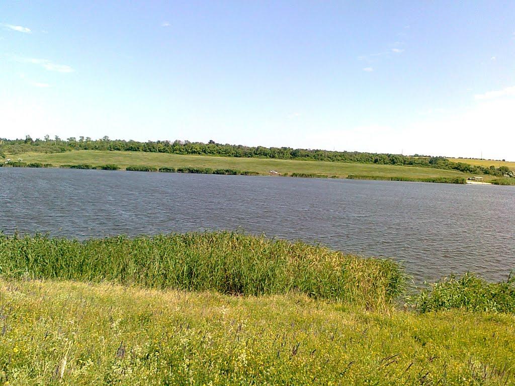 Калинове з panoramio.com - Калинове