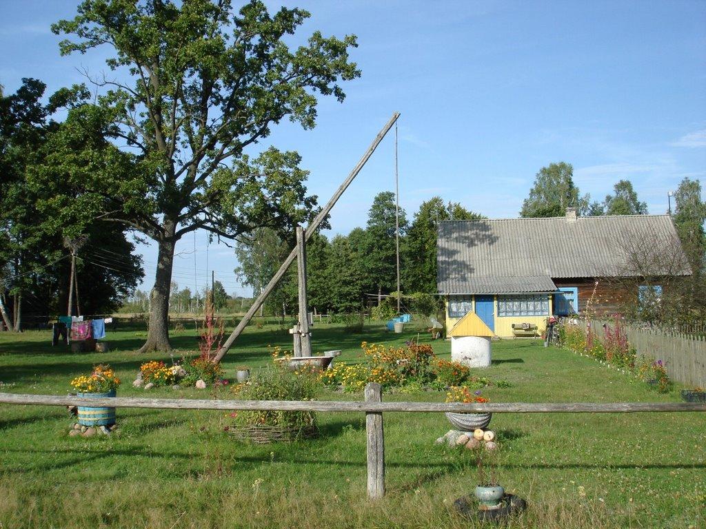 Хрипськ з panoramio.com - Хрипськ