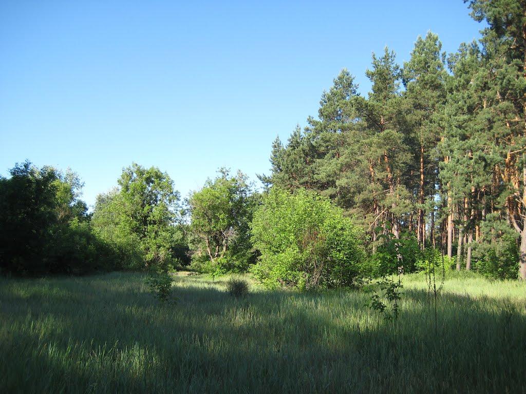 Курган з panoramio.com - Курган