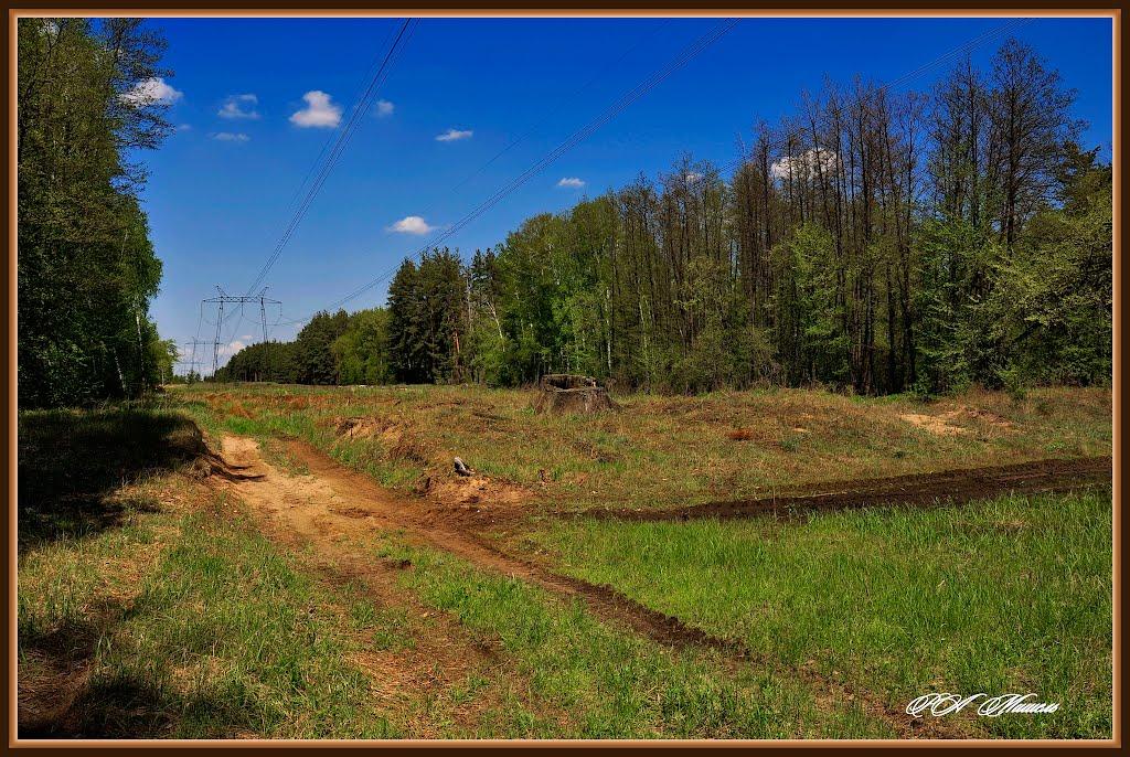 Дронівка з panoramio.com - Дроновка