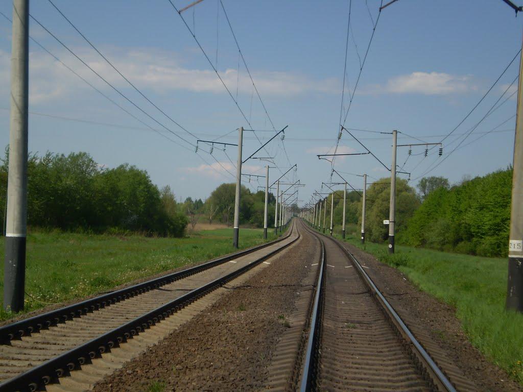 Пальче з panoramio.com - Пальче