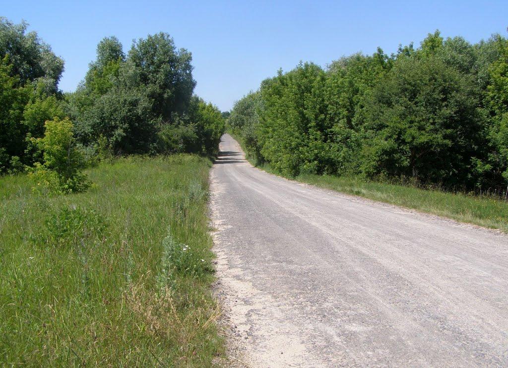 Підлісний Ялтушків з panoramio.com - Підлісний Ялтушків