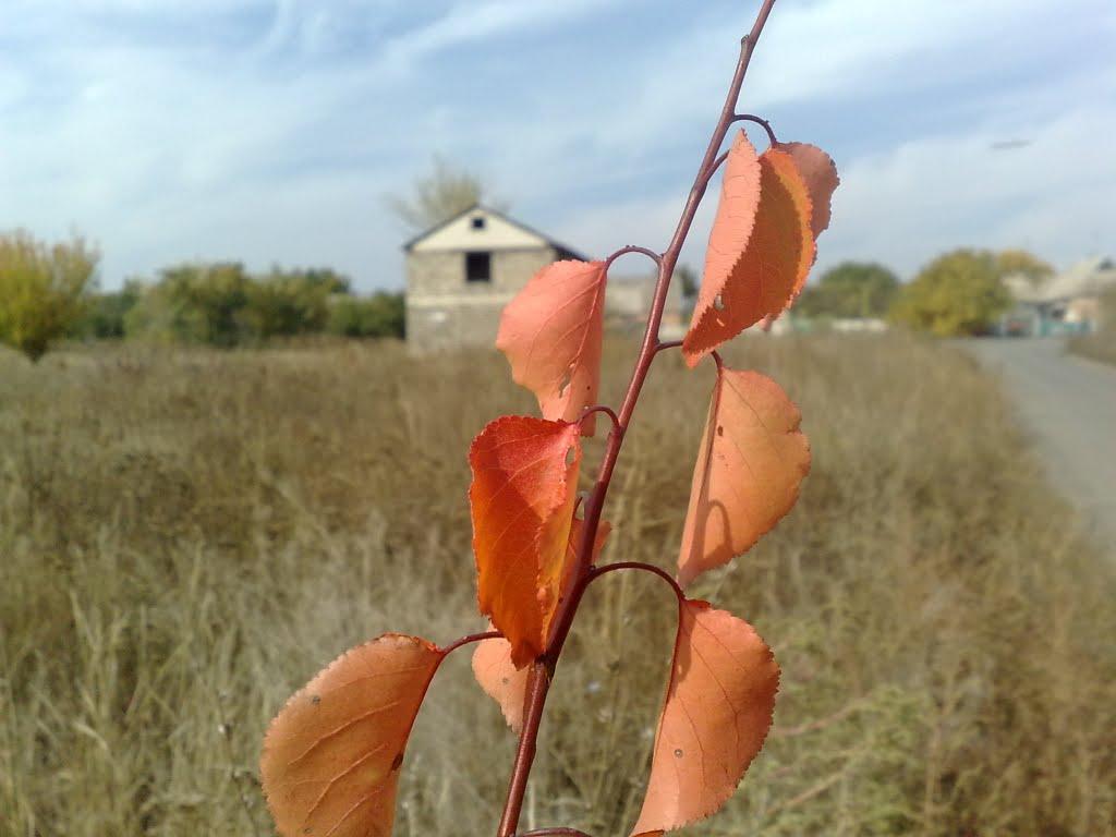 Іловайськ з panoramio.com - Іловайськ