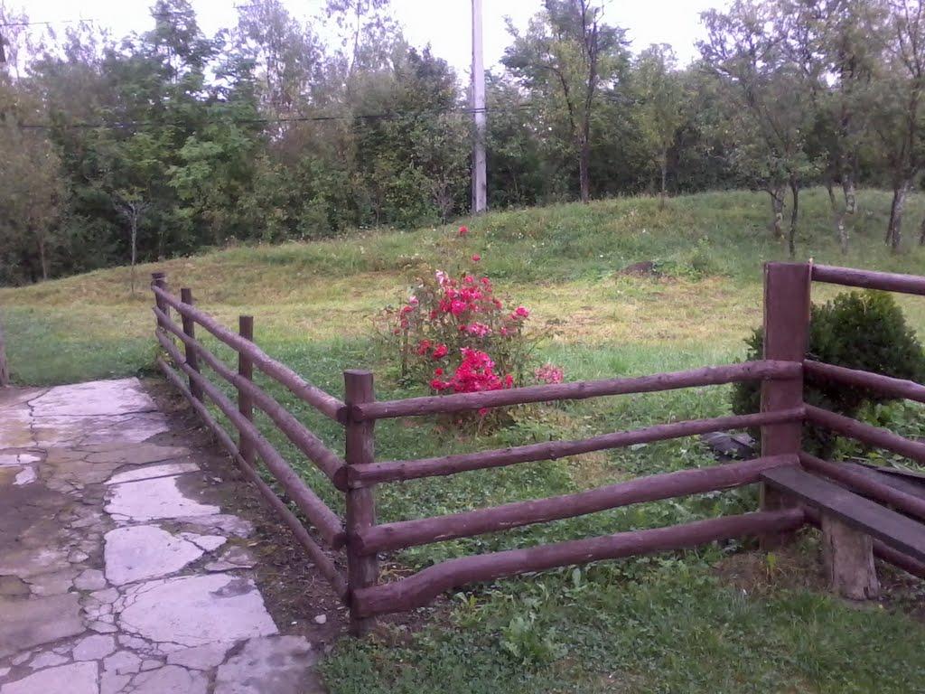Великий Бичків з panoramio.com - Великий Бичків