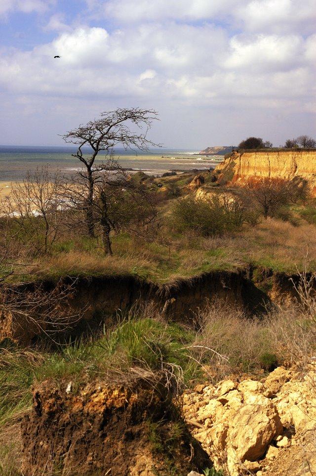 Білярі з panoramio.com - Білярі