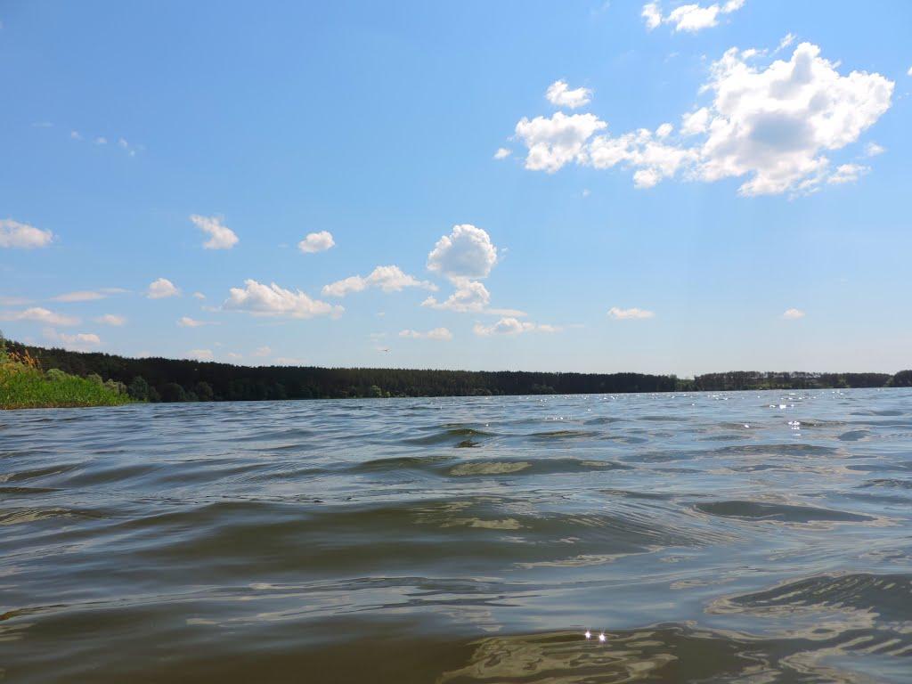 Старий Салтів з panoramio.com - Старый Салтов
