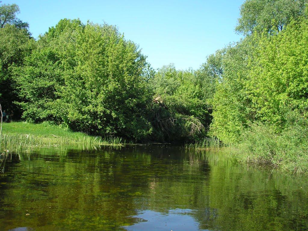 Саврань з panoramio.com - Саврань