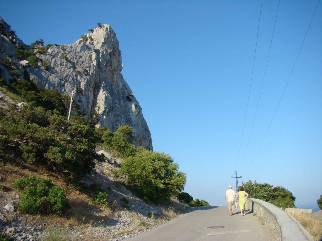 Голуба Затока з panoramio.com (ч.2) - Голубая Затока