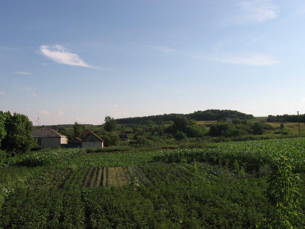 Катеринівка з panoramio.com - Катериновка