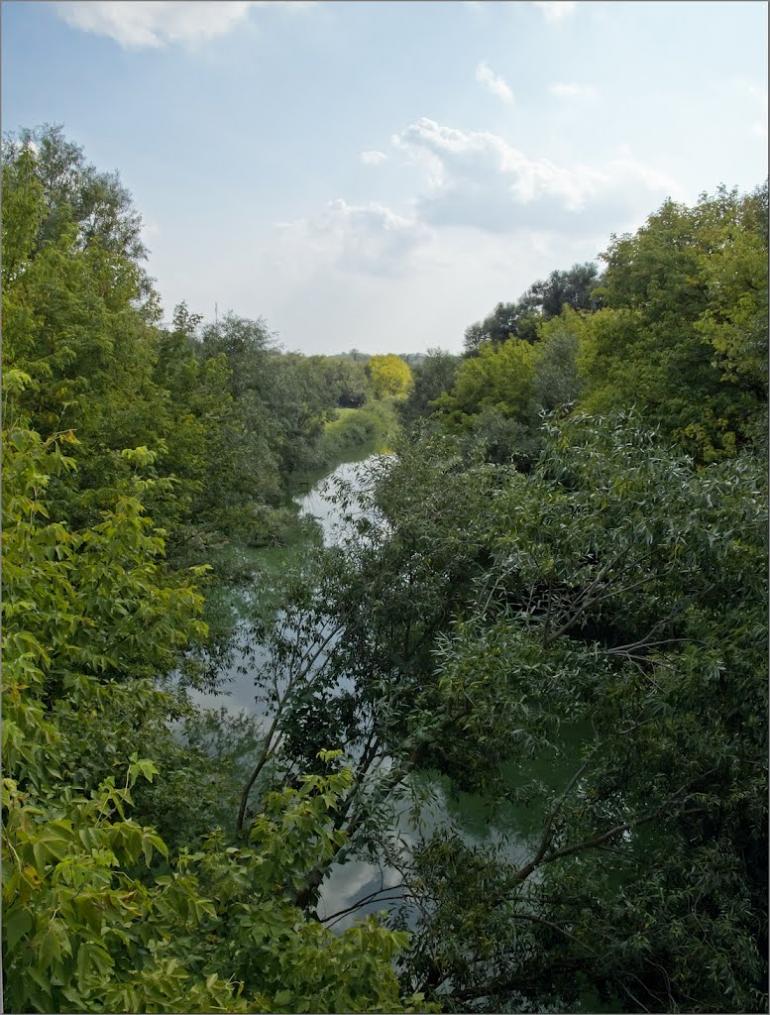 Чечеліївка з panoramio.com - Чечеліївка