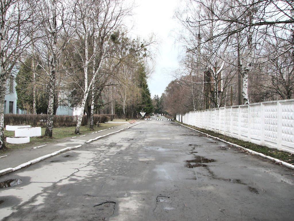 Шепетівка з panoramio.com (ч.2) - Шепетовка