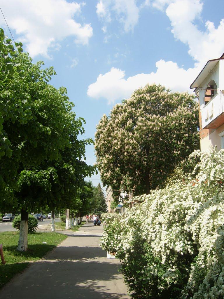Ковель з panoramio.com (ч.2) - Ковель