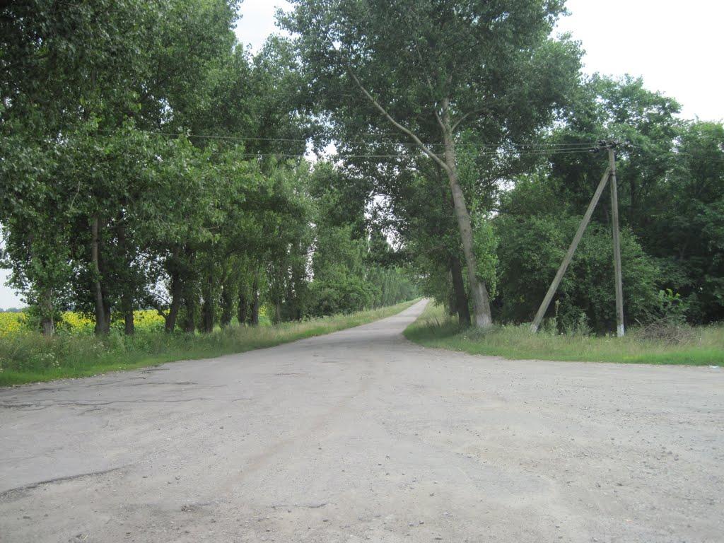 Василівка з panoramio.com - Василівка