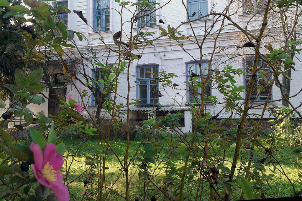 Брусилів з panoramio.com - Брусилів