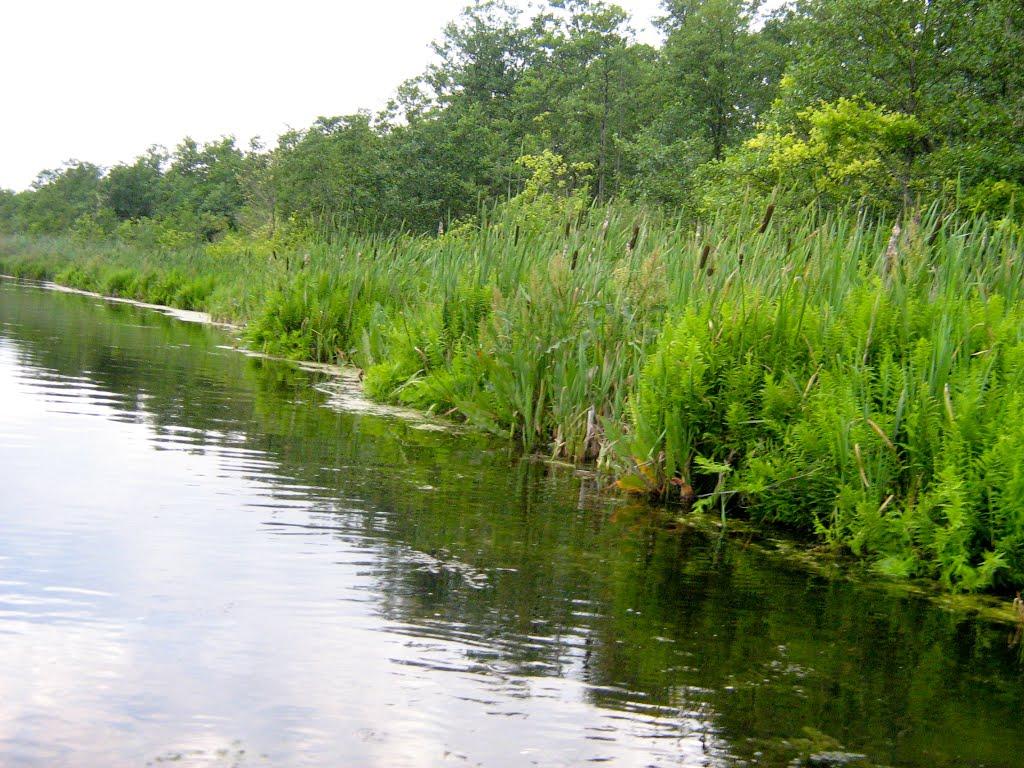 Синове з panoramio.com - Синове