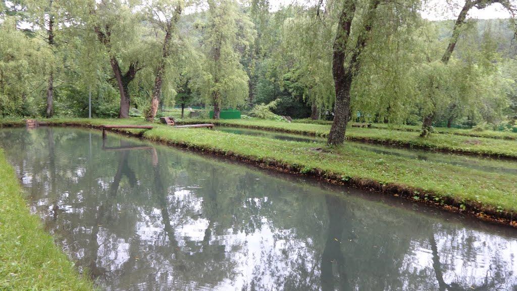 Розовий з panoramio.com (ч.2) - Розовый