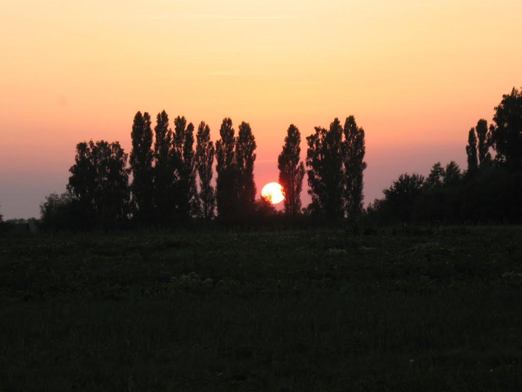 Максаки з panoramio.com - Максаки