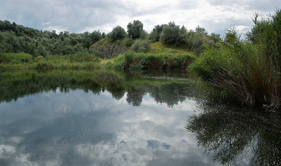 Стальнівці з panoramio.com - Стальнівці