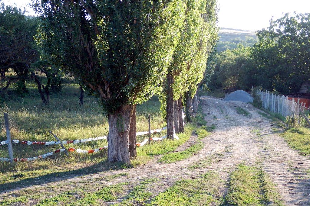 Прохладне з panoramio.com - Прохладное