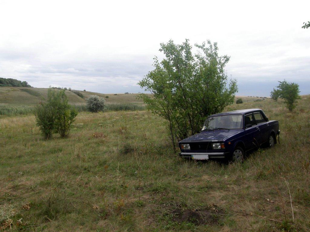 Привовчанське з panoramio.com - Привовчанське