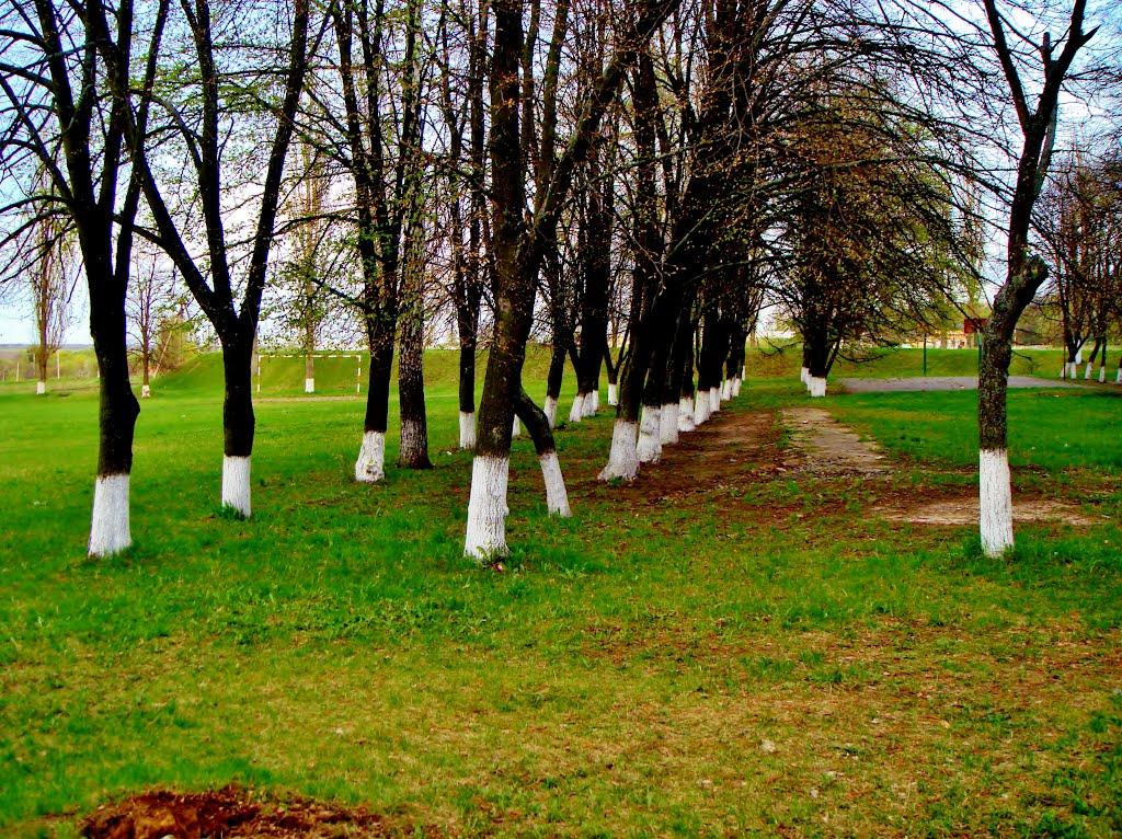 Гудзівка з panoramio.com - Гудзовка