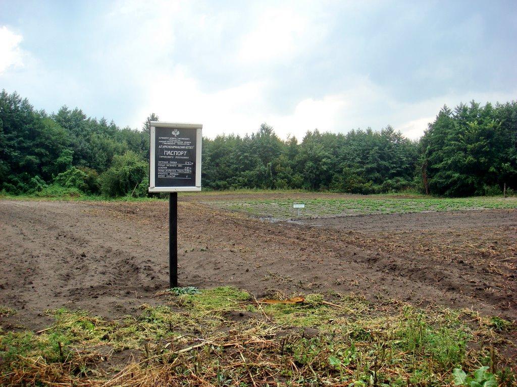 Ямпіль з panoramio.com - Ямполь