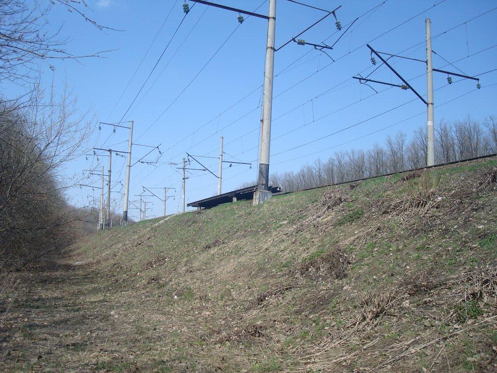 Чапаєвка з panoramio.com - Малі Коростівці