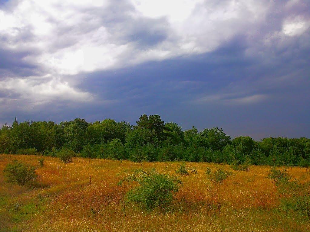 Щасливе з panoramio.com - Щасливе