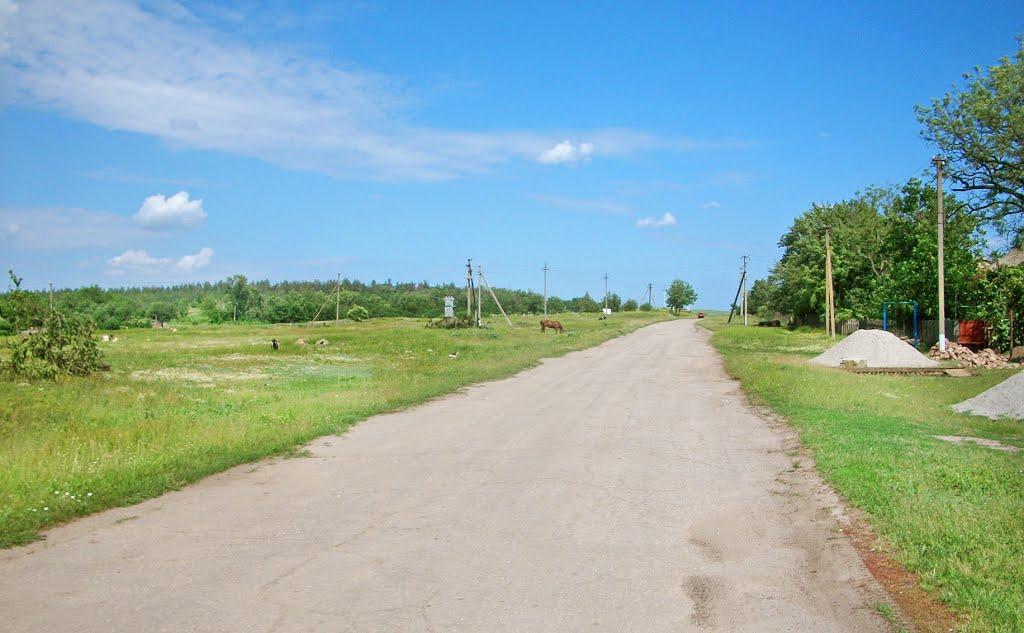 Покровське з panoramio.com - Покровське