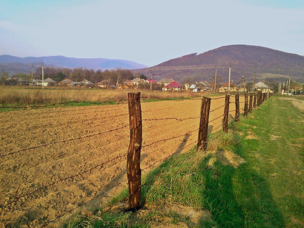 Малий Березний з panoramio.com - Малий Березний