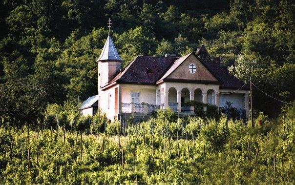 Виноградів з panoramio.com - Виноградів