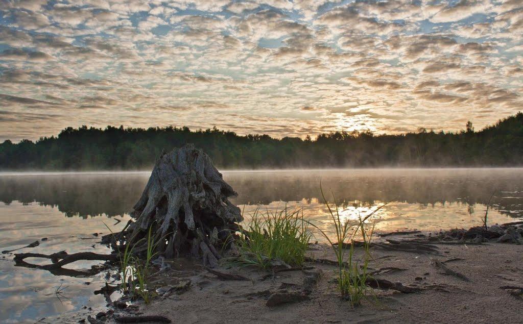 Буки з panoramio.com - Буки