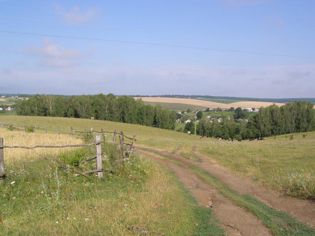 Віньківці з panoramio.com - Віньківці