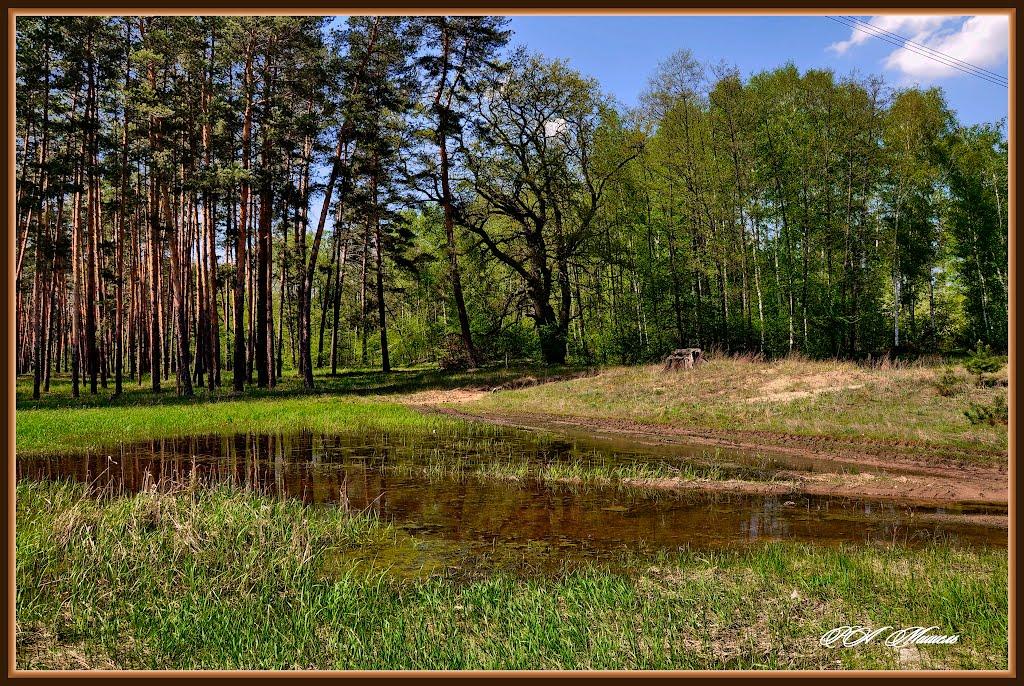 Дронівка з panoramio.com - Дроновка