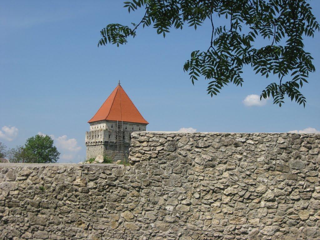Скалат з panoramio.com - Skalat