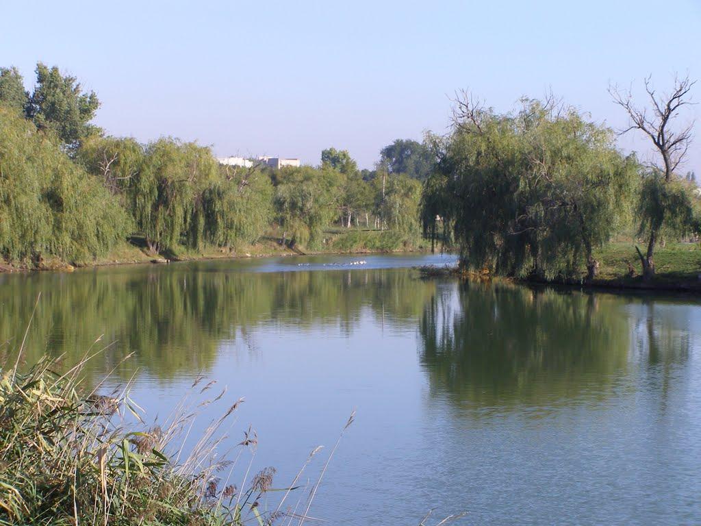 Нижні Сірогози з panoramio.com - Нижні Сірогози