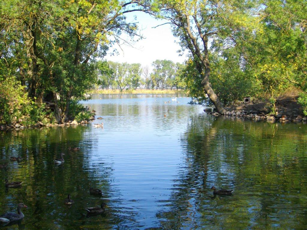 Асканія-Нова з panoramio.com - Askaniya-Nova