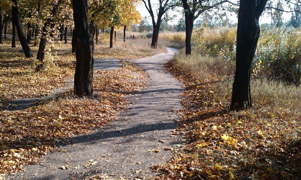 Добропілля з panoramio.com - Доброполье