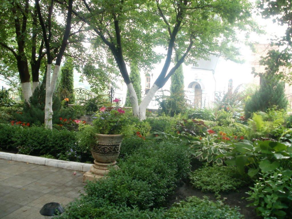 Богородичне з panoramio.com - Богородичне