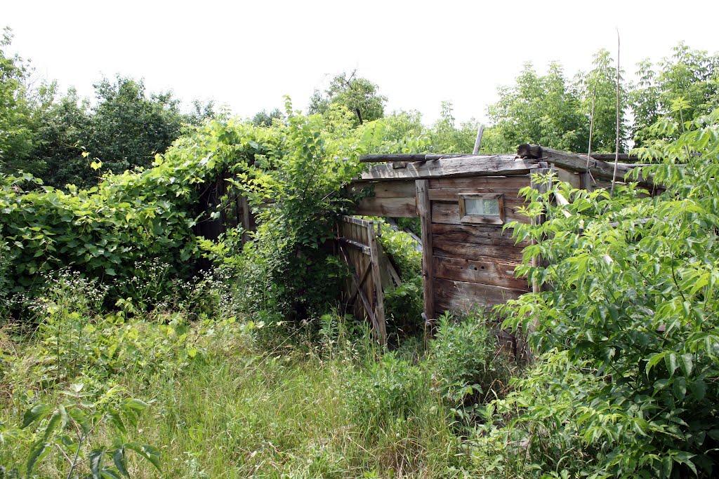 Селець з panoramio.com - Селець