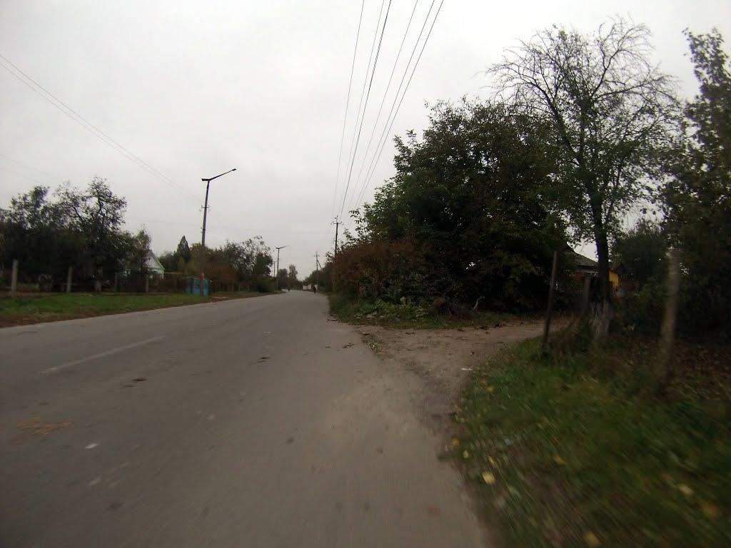 Новоград-Волинський з panoramio.com (ч.3) - Новоград-Волинський