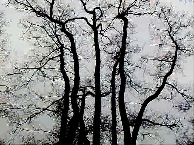 Верхньодеревечка з panoramio.com - Верхньодеревечка