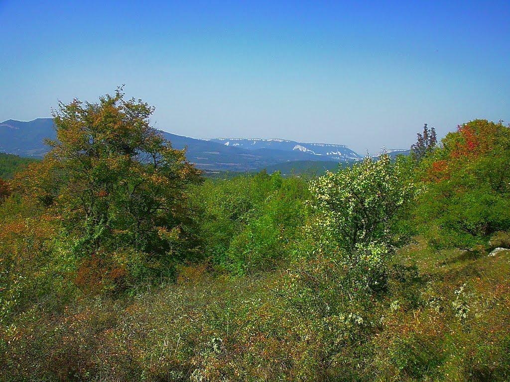 Плотинне з panoramio.com - Плотинное